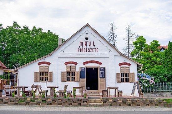 Maul Zsolt Pinceszet